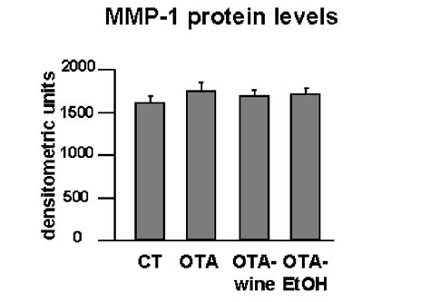 Bar Graphs Showing Mmp 1 Protein Levels After Densitometric Analysis Of Download Scientific