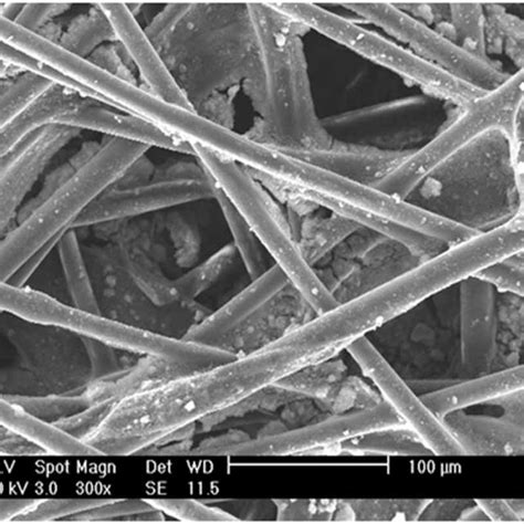 Microscopic Structure Of The Silica Fibers Measured With A Sem