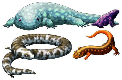 All the Amphibian August images collected... | Nix Draws Stuff