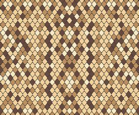 Snakeskin Vector Art & Graphics | freevector.com