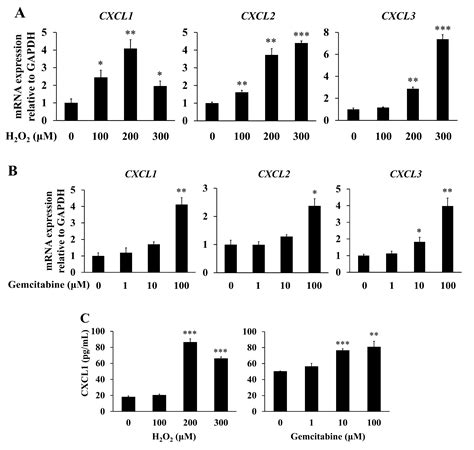 Ijms Free Full Text Senescent Human Pancreatic Stellate Cells