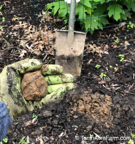 How To Improve Clay Soil In Steps