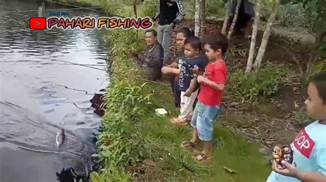 Mancing Ikan Nila Di Kolam Bersama Bocil YouTube