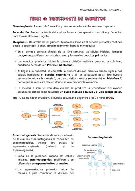 Solution Ginecolog A Y Obstetricia Transporte De Gametos Studypool