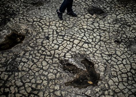 paléontologie nouvelle étude Des pluies acides avec la disparition des