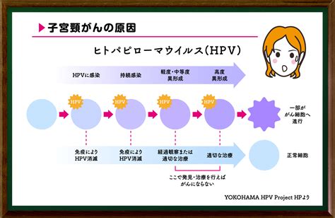 婦人科がんについて① ～子宮頸がんと子宮体がん～（1月10日放送） 女性のための健康セミナー