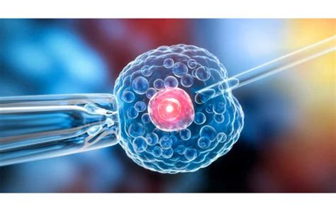 New Approach for Treating Retinal Diseases | OBN