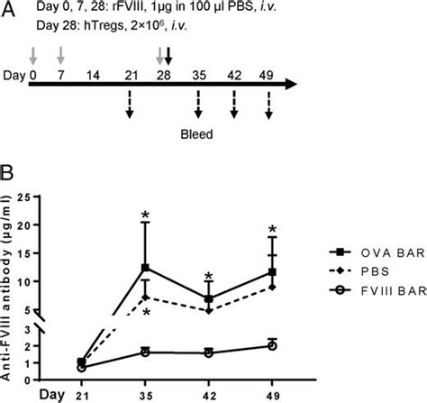 Targeting Antigen Specific B Cells Using Antigen Expressing Transduced