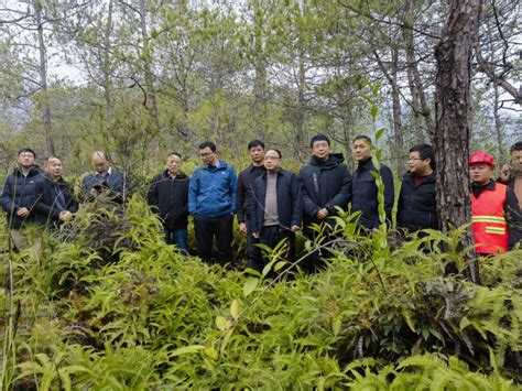 闽浙赣环武夷山国家公园松材线虫病疫情联防联控会议召开 图片新闻 福建省林业局