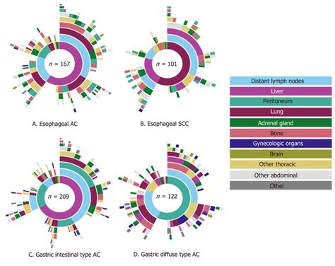 Metastatic Pattern Of Esophageal And Gastric Cancer By Histological Download Scientific Diagram