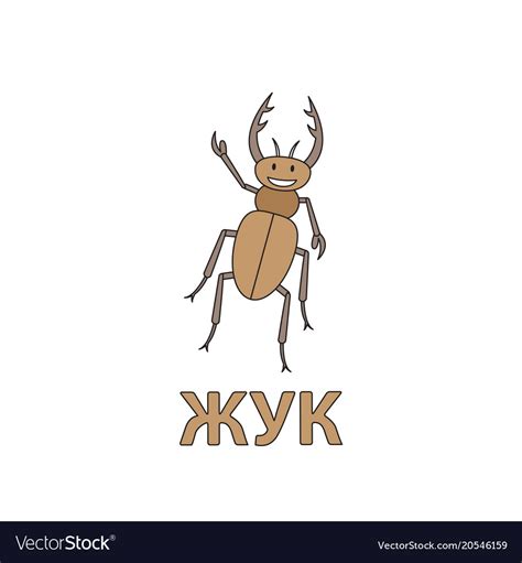 Cartoon Beetle Flashcard For Children Royalty Free Vector