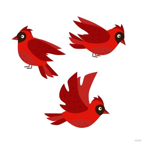 Cardinal Vector in Illustrator, SVG, JPG, EPS, PNG - Download ...