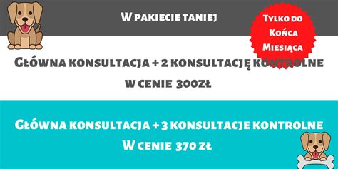 Psi behawiorysta online konsultację psów onlinie Kot Expert