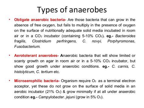 Aerobic Bacteria - all about bacteria images