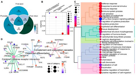 Ijms Free Full Text Genome Wide Dna Methylation And Transcriptome