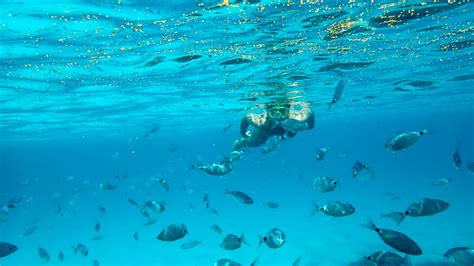 Talassofobia Paura Del Mare Come Riconoscerla E Curarla