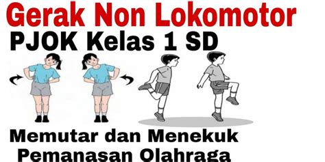 Pengertian Contoh Gerakan Lokomotor Dan Nonlokomotor Gambaran Porn