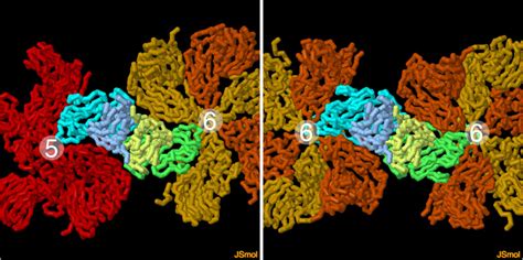 Pdb Molecule Of The Month Quasisymmetry In Icosahedral Viruses