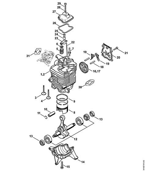 Exploring The Stihl Br800c With Detailed Parts Diagram