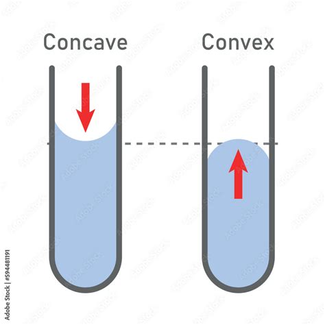 Adhesion and cohesion of water. Concave and convex meniscus. Vector ...