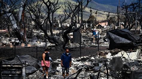 Why do wildfires often ignite a firestorm of conspiracy theories? | CBC ...