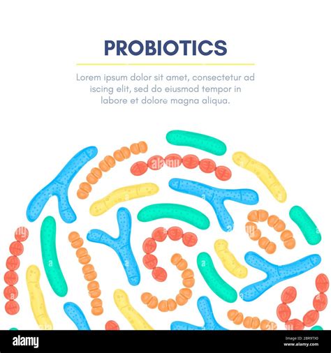 Vector Background With Probiotics In Semicircular Shape