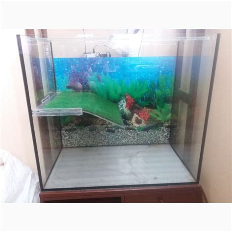 Продам аквариум - террариум, б/у - купить аквариум - террариум, Киев ...