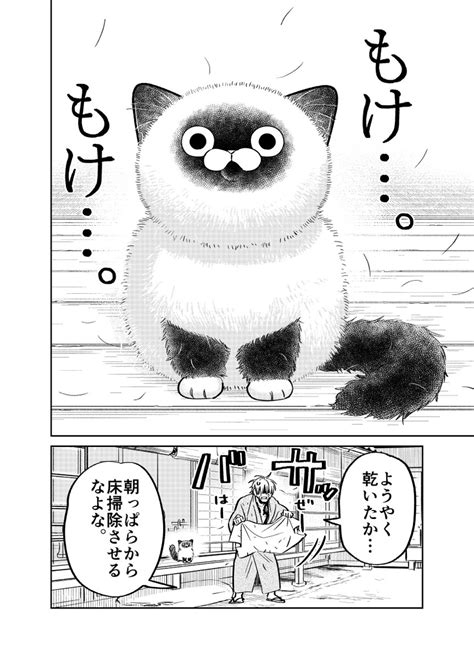 「野良猫にお風呂にカチ込まれる元極道の話。 24 漫画が読めるハッシュタグ 」片倉 頼📦オヤジとにゃん吉👨‍🦳🐾🐱11 10②巻発売