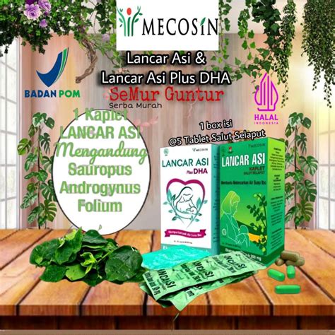 Jual Lancar Asi Plus Dha Daun Katuk