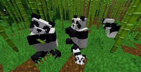 Everything You Need To Know About Minecraft Pandas