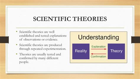 Scientific Evidence And The Theories In The Life Sciences Ppt Download