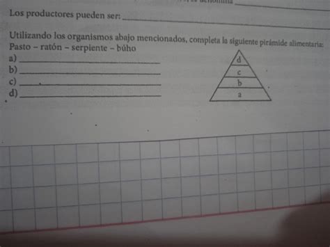 Utilizando Los Organismos Abajo Mencionados Completa La Siguiente