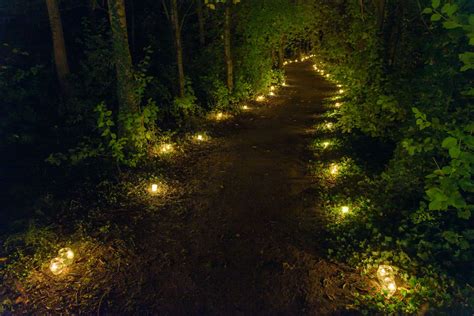 Luces Que Indican El Camino A Seguir A Trav S Del Bosque Balizas