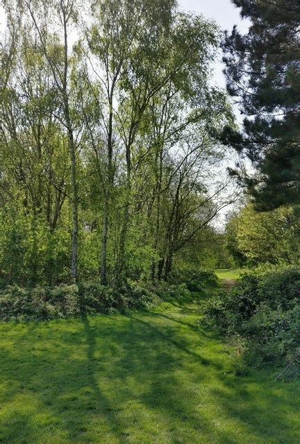 Woodland At The Aylestone Meadows Local Mat Fascione Cc By Sa 2 0