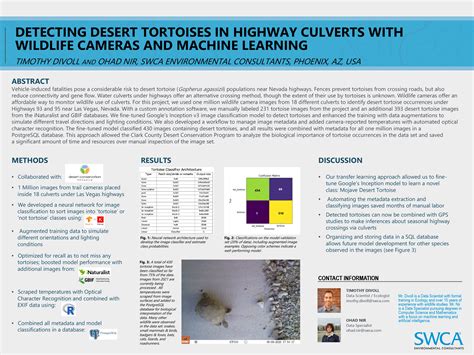 Detecting Desert Tortoises In Highway Culverts With Wildlife Cameras