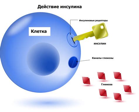 Глюкоза (в крови) (Glucose), показания к назначению, правила подготовки ...