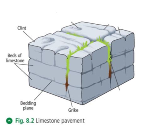 Limestone Formation Process