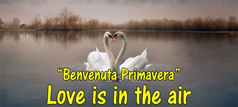 Benvenuta Primavera Love Is In The Air Pixel Di Natura