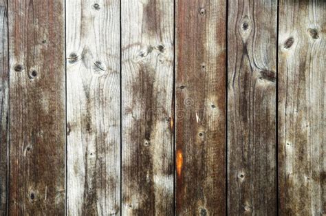 Textura De Las Tablas De Madera Sin Pintar Foto De Archivo Imagen De