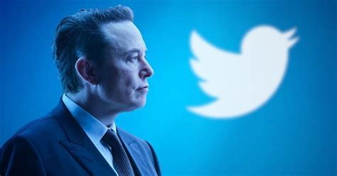 Adi S Al Pajarito Elon Musk Cambi El Logo De Twitter Bae Negocios