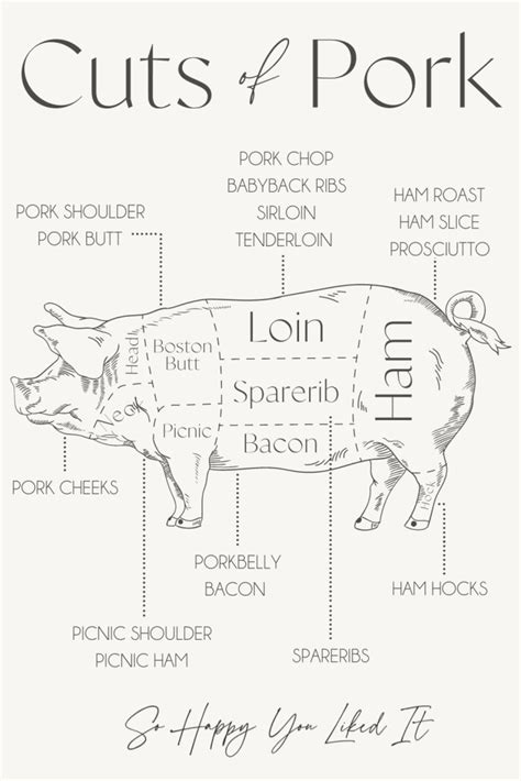 A Guide To Meat Cuts Of Pork So Happy You Liked It