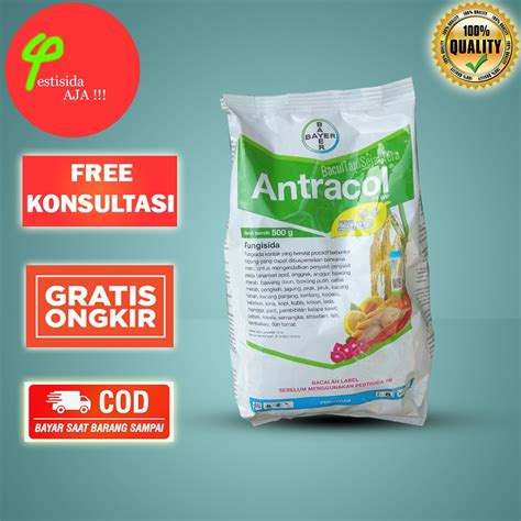 Jual Antracol Wp Zinc Kilogram Kg Fungisida Bercak Ungu Bercak