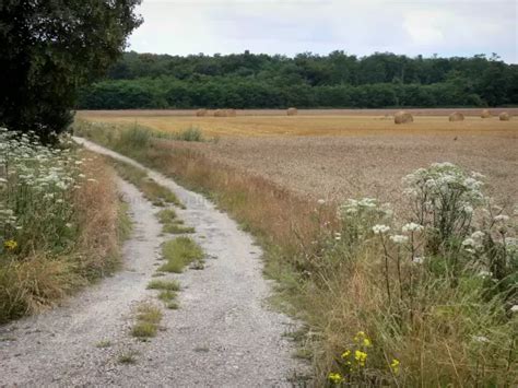 Il Parco Naturale Regionale Del G Tinais Fran Ais Guida Turismo E Vacanze