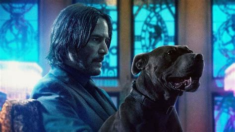 John Wick Oficjalny Zwiastun Pl Nr Cda