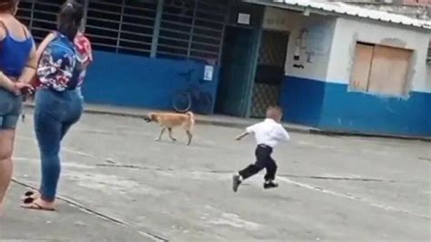 VIDEO Niño intentó escapar corriendo de la escuela mientras se formaba