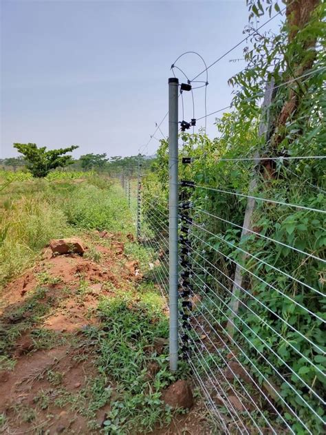 Fencing Wire in Barmer कटल तर बडमर Rajasthan Get Latest