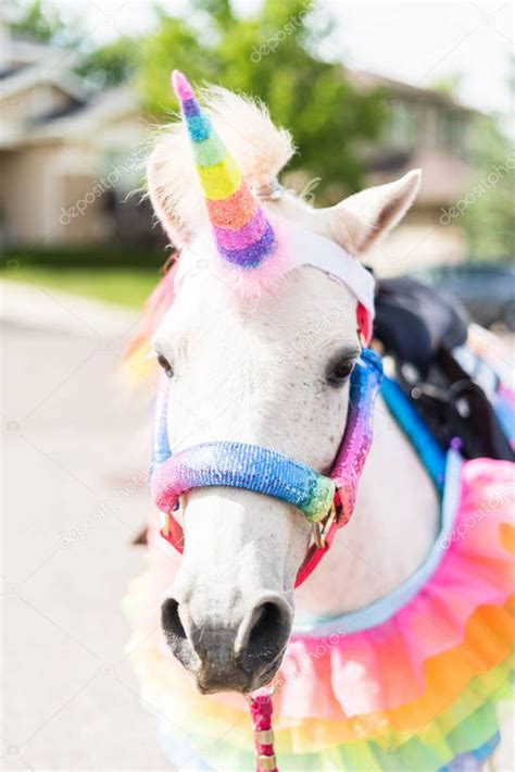 Un Pony Blanco Decorado Como Unicornio En La Fiesta De Cumplea Os De La