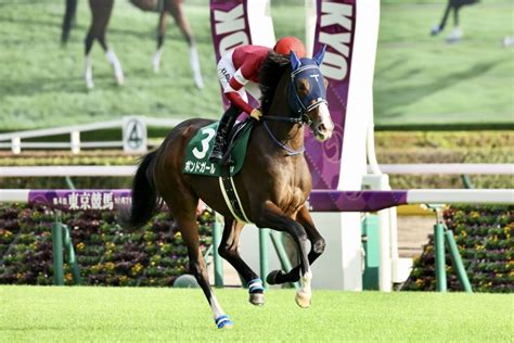 【ニュージーランドt登録馬ボンドガールなど17頭 競馬ニュースなら競馬のおはなし