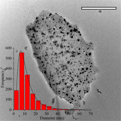 A Tem Image Of The Synthesized Agnps Scale Bar Nm And Eds