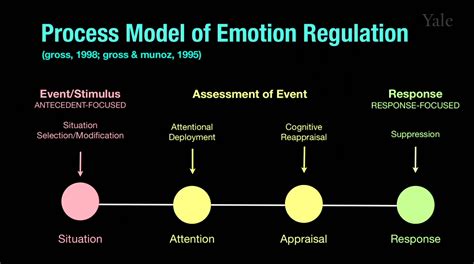 Evokit Notes Human Emotion 141 Emotion Regulation I What Is